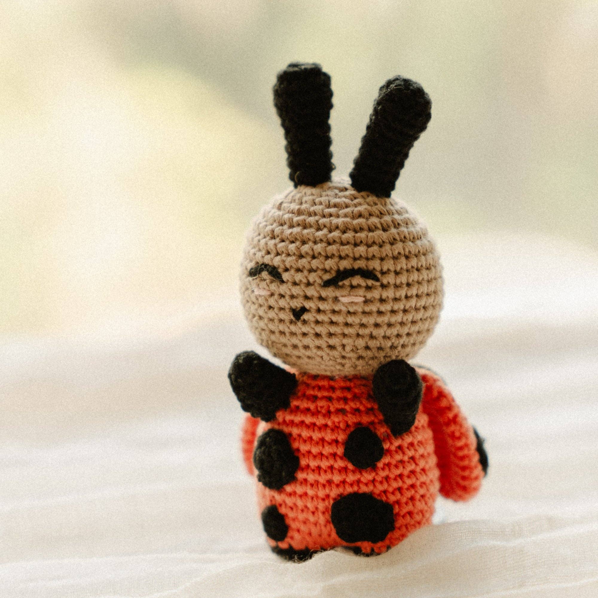 Cute crocheted ladybug toy, Suzie the Snuggle Buggle, perfect for babies and toddlers, featuring bright colors and stitched details.